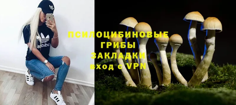 цены наркотик  Лабытнанги  Галлюциногенные грибы Psilocybe 